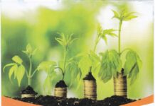 SAVING DEPOSIT DETAILS